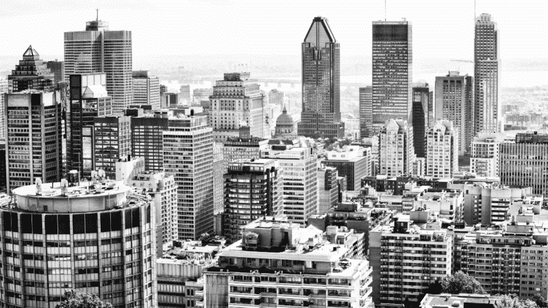 Understanding the Digital Luxury Consumer