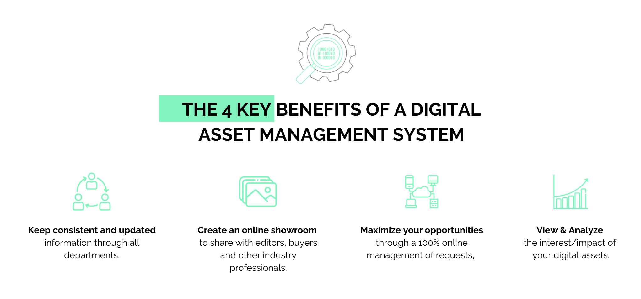 digital asset management system